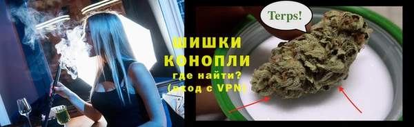 стафф Каменка