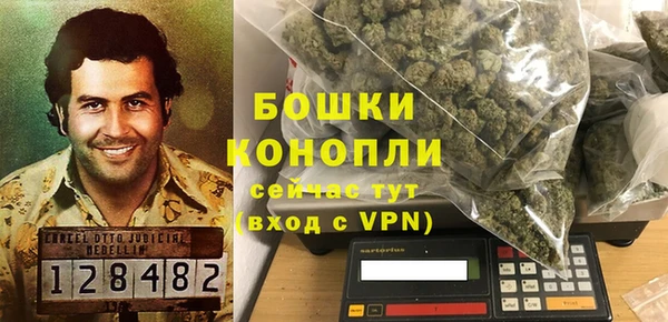 стафф Каменка