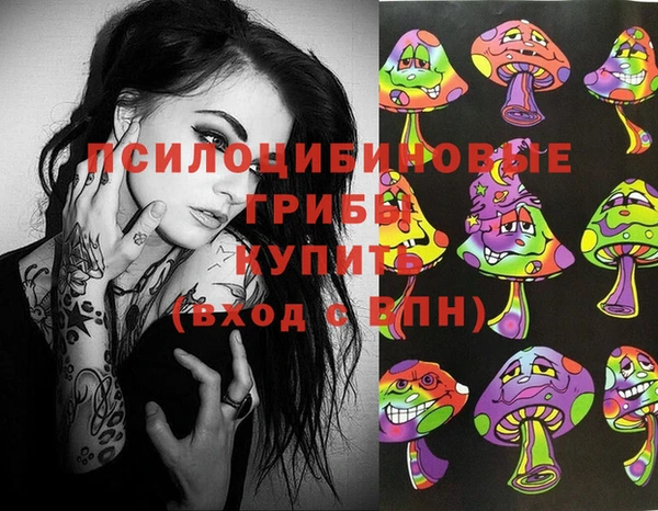 mdma Каменногорск