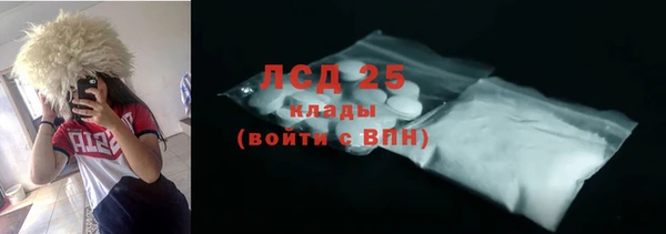 стафф Каменка