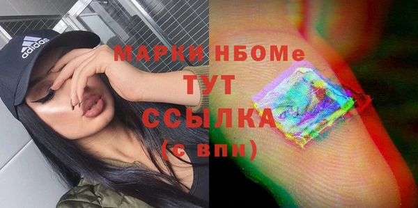 стафф Каменка