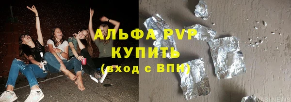 стафф Каменка