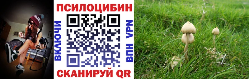 Купить  Нытва  Галлюциногенные грибы Magic Shrooms 